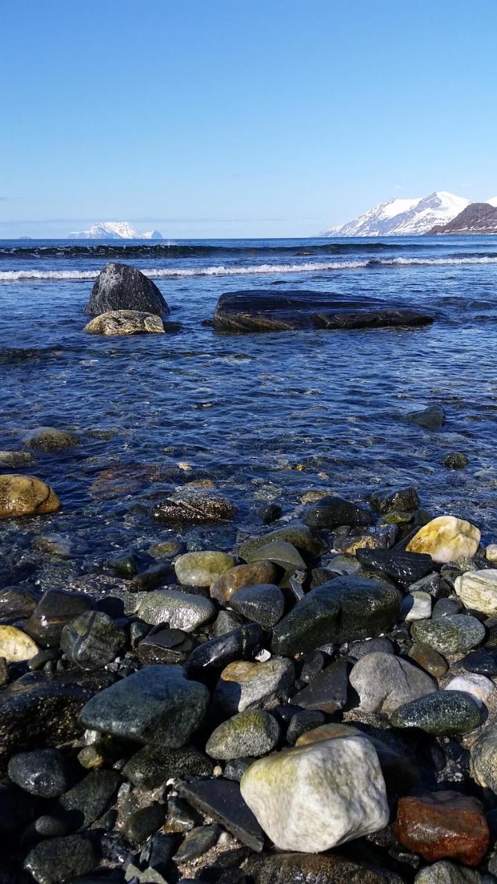 Lyngen Fjordcamp Villa Nord-Lenangen ภายนอก รูปภาพ